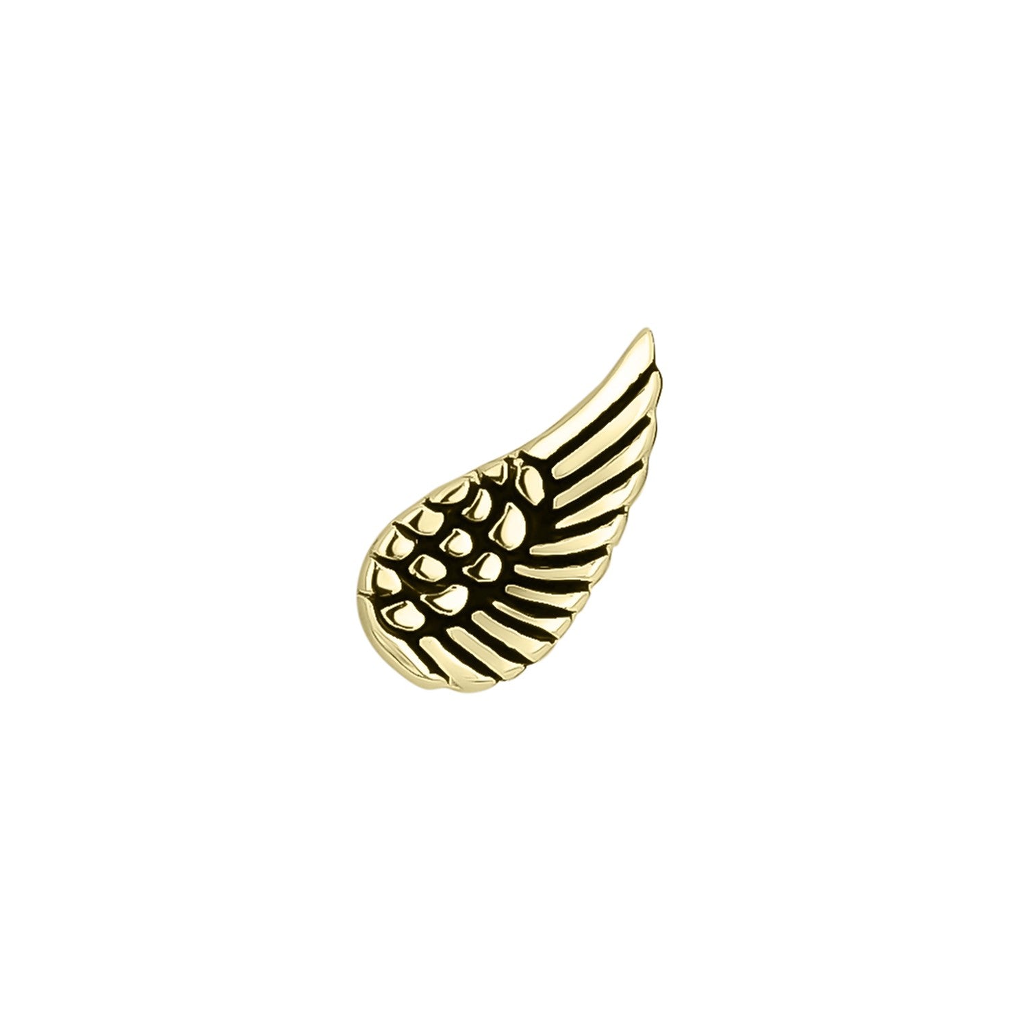 AUSKARS PIERCING VĒJAM