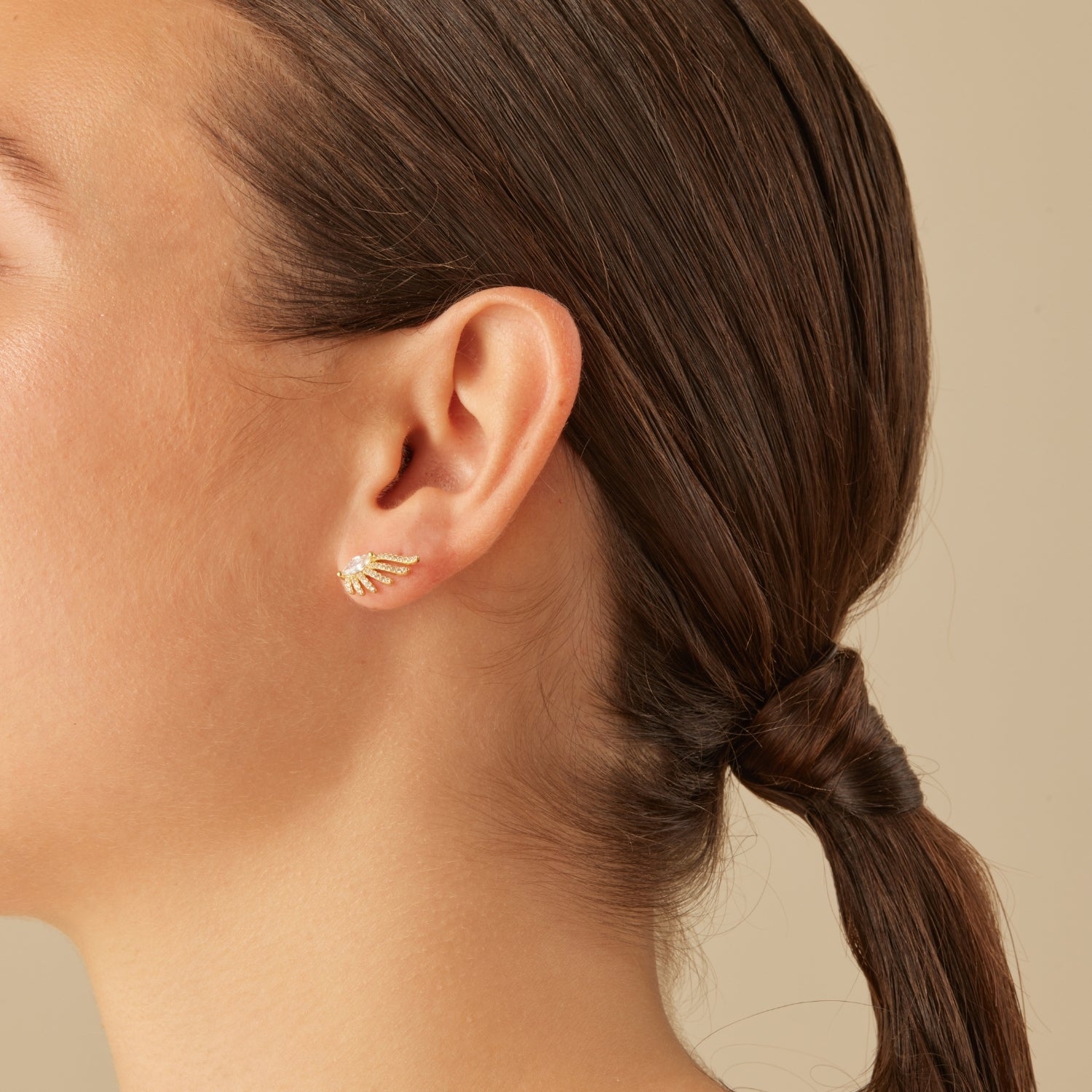 PARANÁ EARRINGS